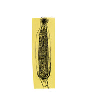 Load image into Gallery viewer, harvest-corn-Fethra-prints-vegetable-kitchen-minimalistic-Dana-Williamowsky-drawing
