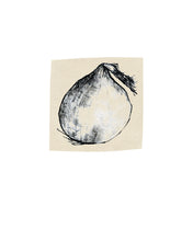 Load image into Gallery viewer, kitchen-drawing-Leslie-Enders-Lee-Fethra-prints-harvest-onion-vegetable
