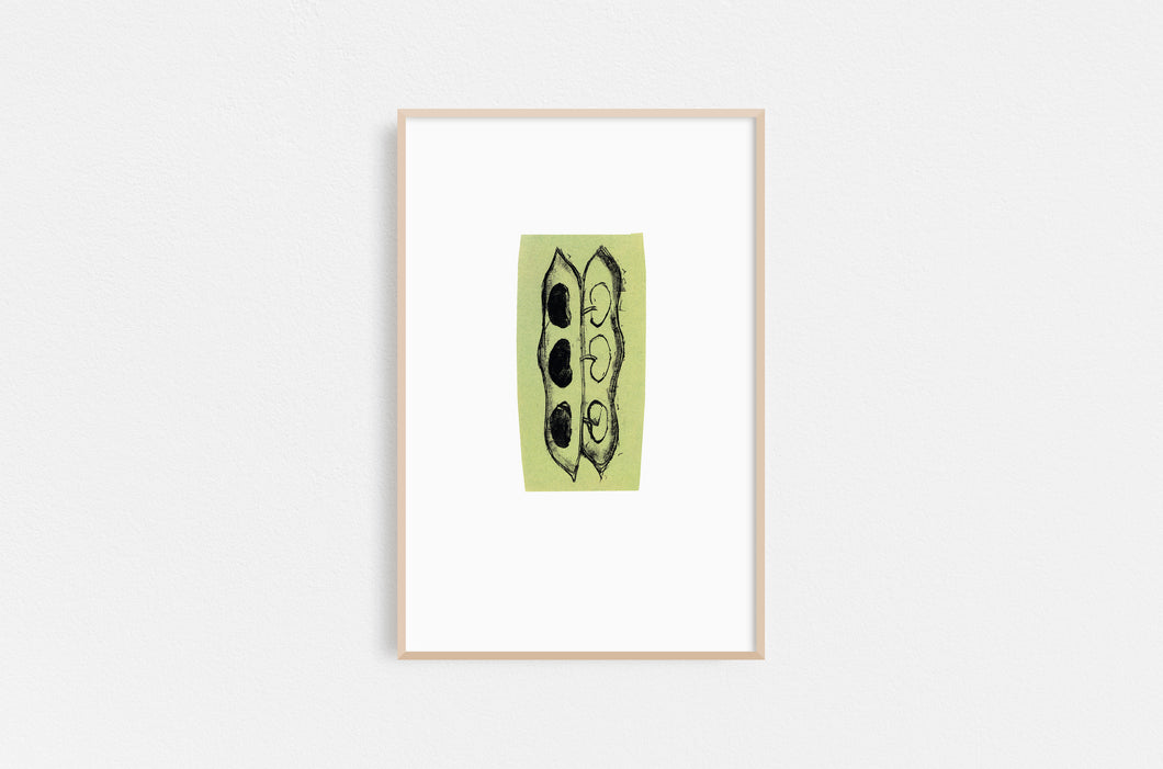 Leslie-Enders-Lee-peapod-Fethra-prints-vegetable-kitchen-drawing-harvest