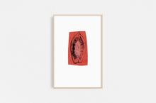 Load image into Gallery viewer, Dana-Williamowsky-squash-Fethra-prints-vegetable-kitchen-drawing-harvest-garden
