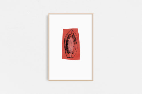 Dana-Williamowsky-squash-Fethra-prints-vegetable-kitchen-drawing-harvest-garden