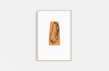 Load image into Gallery viewer, potato-Fethra-prints-vegetable-kitchen-drawing-harvest-garden-Dana-Williamowsky
