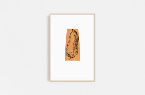 potato-Fethra-prints-vegetable-kitchen-drawing-harvest-garden-Dana-Williamowsky