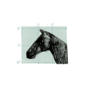 Load image into Gallery viewer, horses-fine-art-Fethra-prints-latitudes-Leslie-Enders-Lee-equestrian
