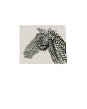 Load image into Gallery viewer, Fethra-prints-nature-horses-fine-art-Dana-Williamowsky-feathers-equestrian
