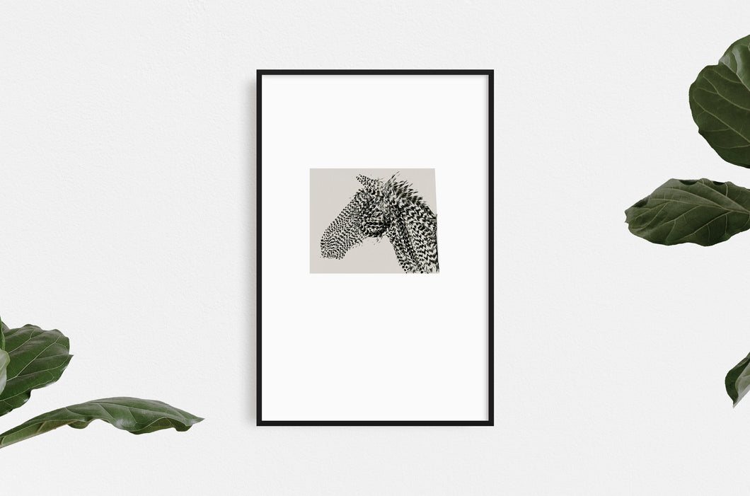 fine-art-nature-horses-feathers-equestrian-Fethra-prints-Dana-Williamowsky