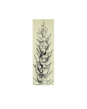 Load image into Gallery viewer, Dana-Williamowsky-stamps-pine-fine-art-Fethra-prints-nature-tree
