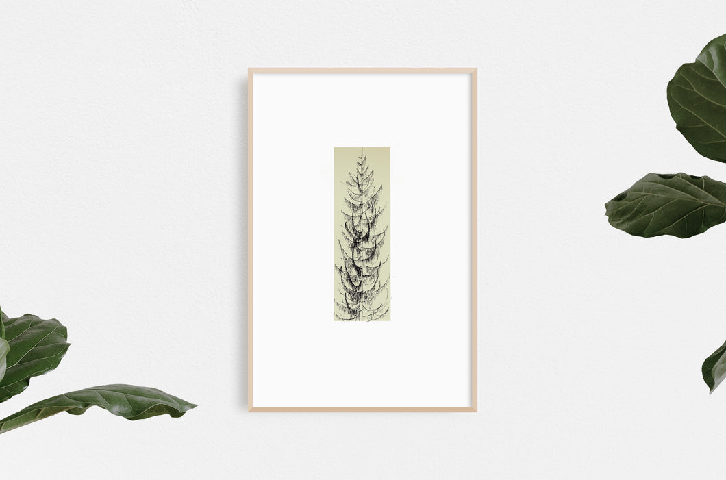 tree-nature-fine-art-stamps-pine-Fethra-prints-Dana-Williamowsky