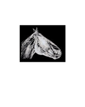 Load image into Gallery viewer, minimalistic-horses-fine-art-Fethra-prints-Dana-Williamowsky-equestrian
