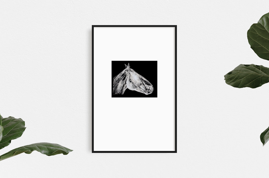 fine-art-horses-Fethra-prints-equestrian-Dana-Williamowsky-minimalistic