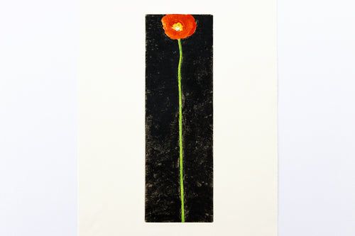 abstract-poppy-flower-nature-painting-Dana-Williamowsky-original-Fethra-prints