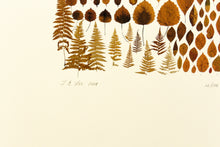 Load image into Gallery viewer, signed-fine-art-Fethra-prints-leaves-nature-woods-albers-trees
