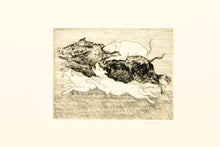 Load image into Gallery viewer, etching-printmaking-ink-Original-Leslie-Enders-Lee-animal-Fethra-prints
