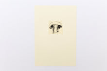 Load image into Gallery viewer, drawing-harvest-mushroom-Fethra-prints-signed-original-garden-vegetable-kitchen
