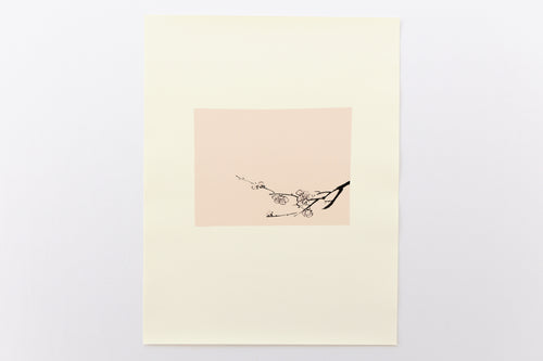 fine-art-flowers-original-Fethra-prints-blossom-minimalistic-nature-tree