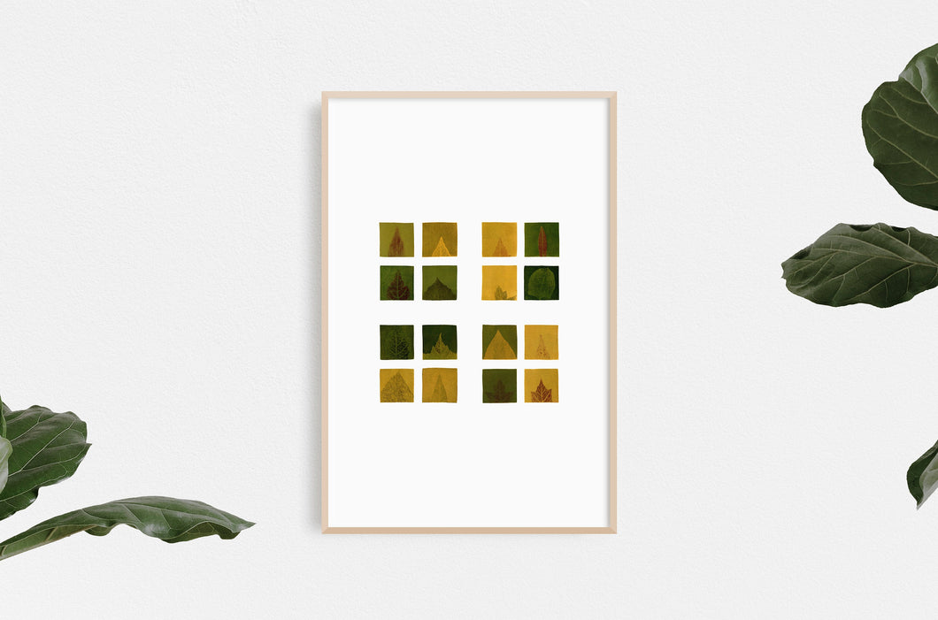 fine-art-nature-Fethra-prints-natural-trees-albers-leaves-woods