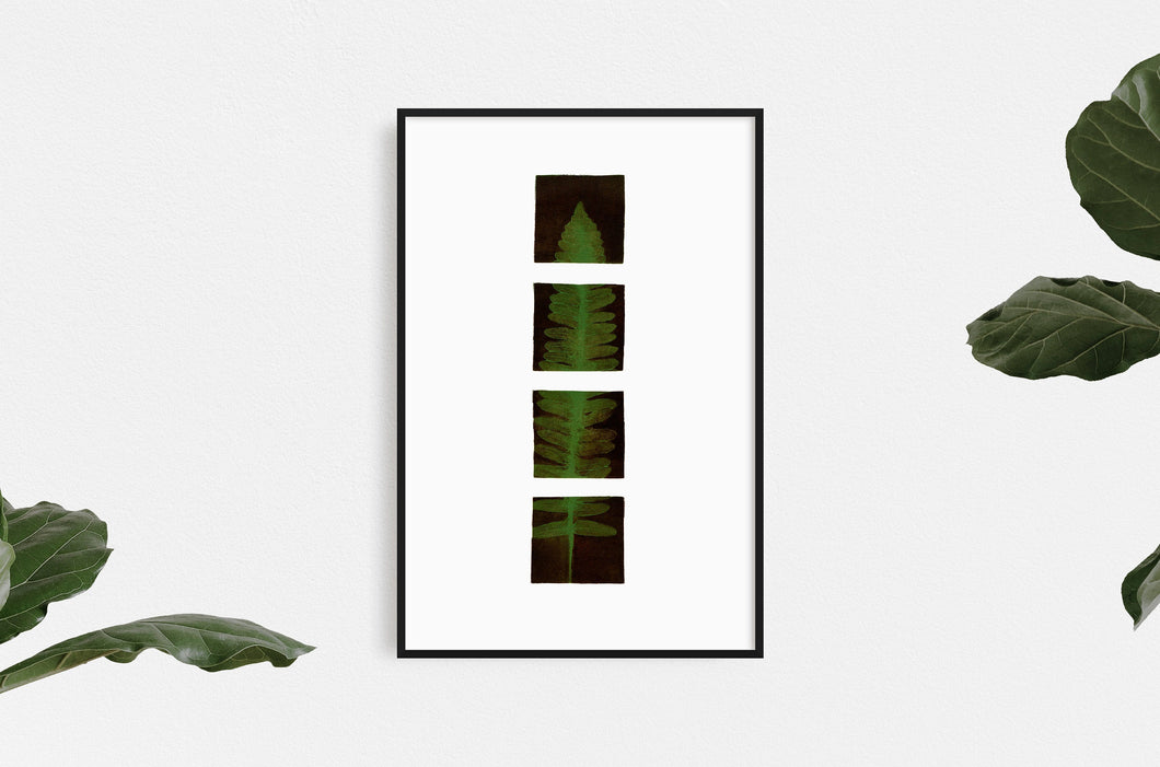 fine-art-Dana-Williamowsky-Fethra-prints-trees-albers-leaves-nature