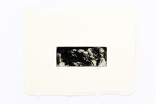 Load image into Gallery viewer, etching-printmaking-Dana-Williamowsky-Fethra-prints-man-ink-original-abstract
