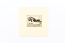 Load image into Gallery viewer, ink-Original-Leslie-Enders-Lee-Fethra-prints-animal-etching-printmaking
