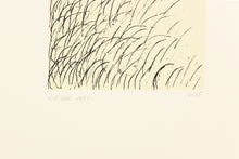 Load image into Gallery viewer, Fethra-prints-fine-art-original-signed-stamps-nature-grass-ink
