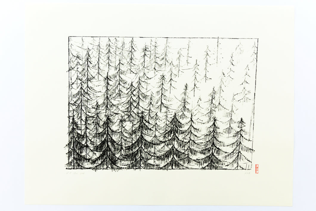 stamped-trees-original-fine-art-Fethra-prints-forest-ink-signed