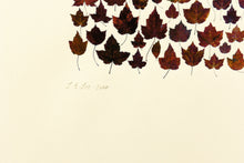 Load image into Gallery viewer, albers-trees-leaves-fine-art-signed-woods-nature-Fethra-prints
